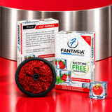 Fantasia NIC-FREE STRAWBERRY ICE Hookah Shisha Flavor 50g