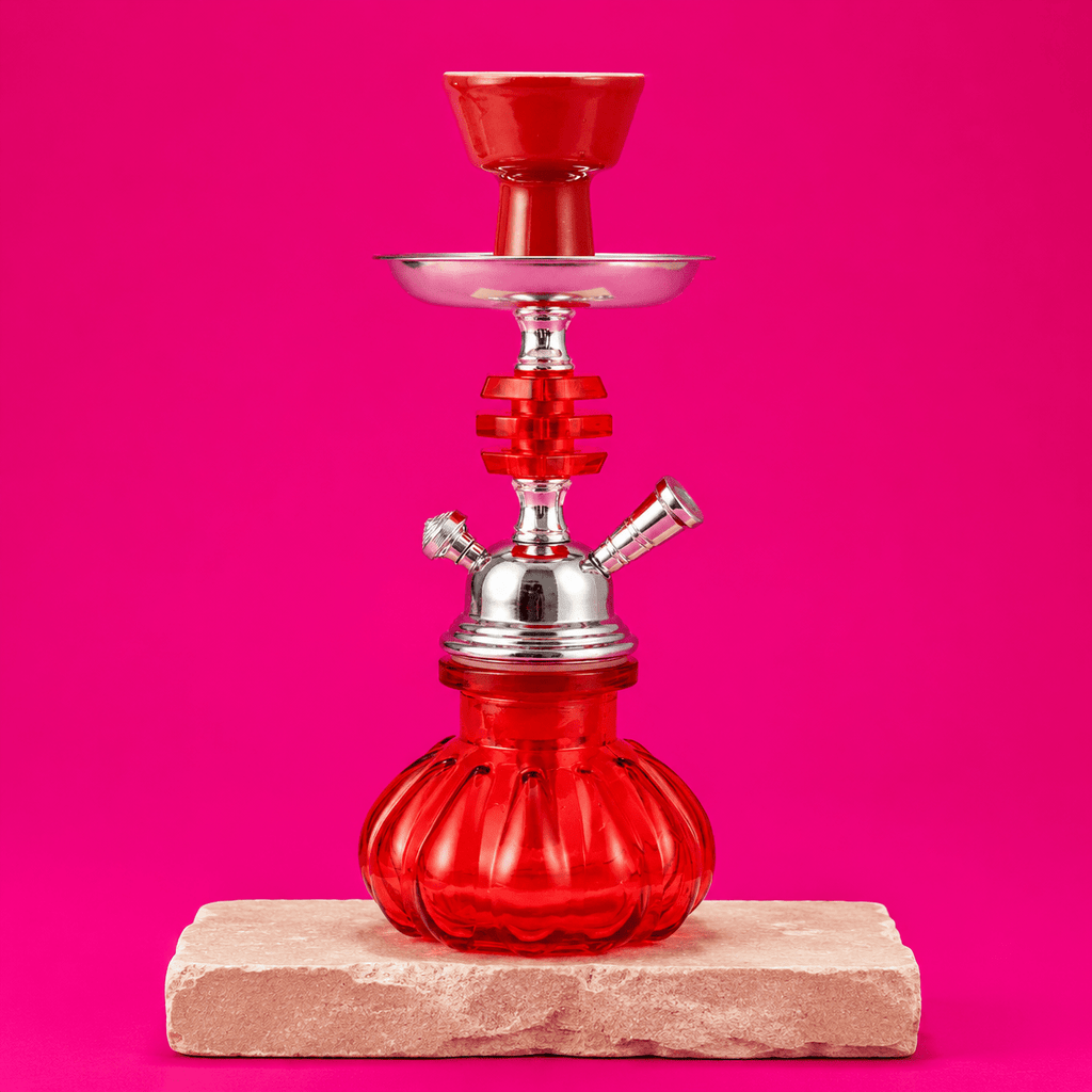 Shisha Glass Stylish Hookah 1x Hose 21cm | Shisha Glass
