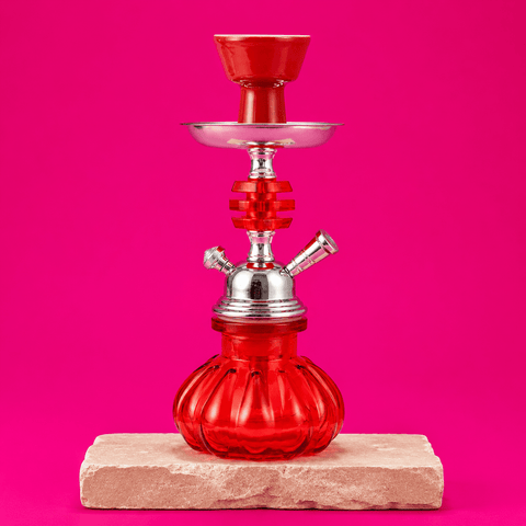Shisha Glass Stylish Hookah 1x Hose 21cm | Shisha Glass